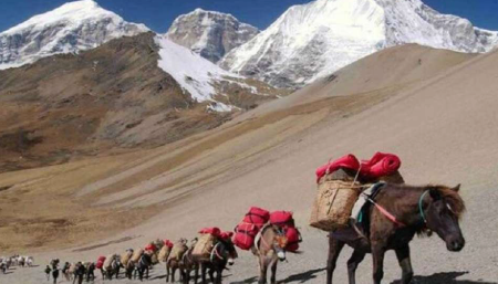 Trekking Icon