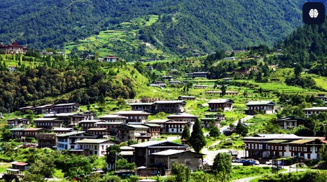 tashi1 
