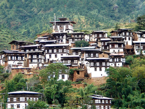 wangdue1